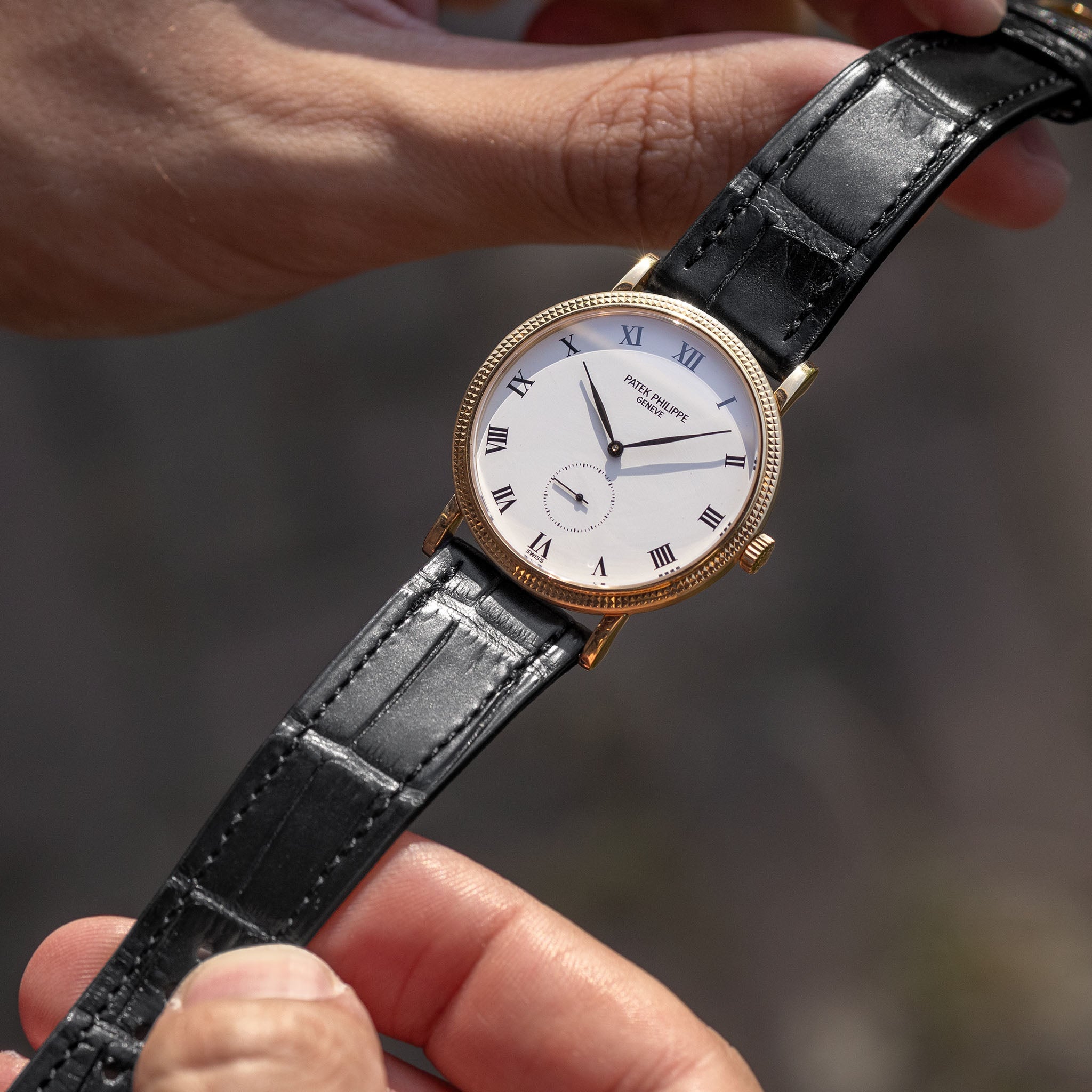 Premium Alligator Fullcut Black Watch Strap