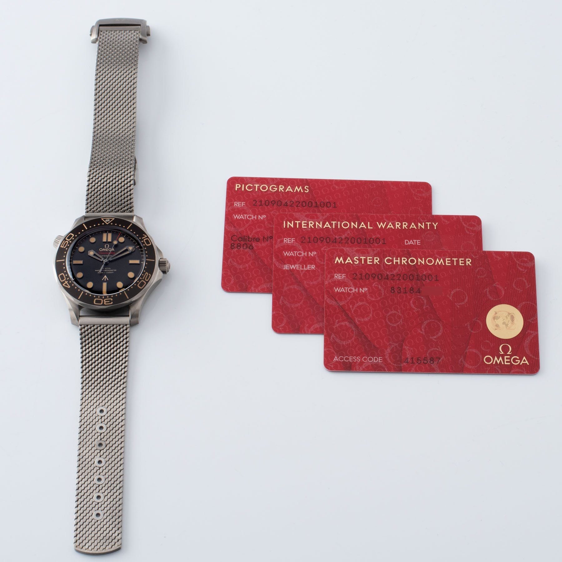 Omega Seamaster 300 James Bond Reference 210.90.42.20.01.001
