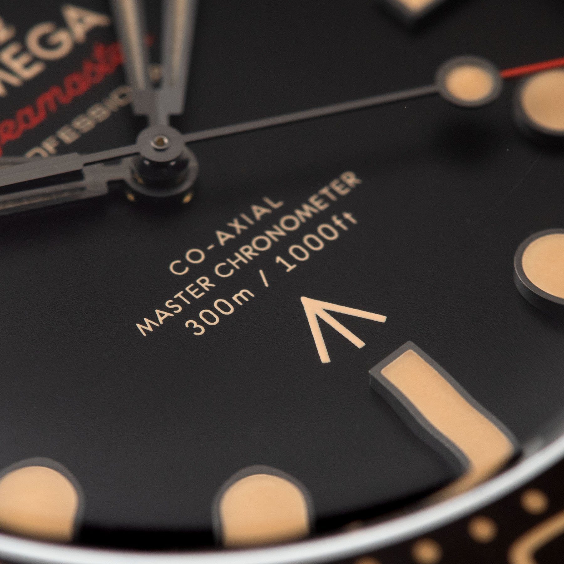 Omega Seamaster 300 James Bond Reference 210.90.42.20.01.001