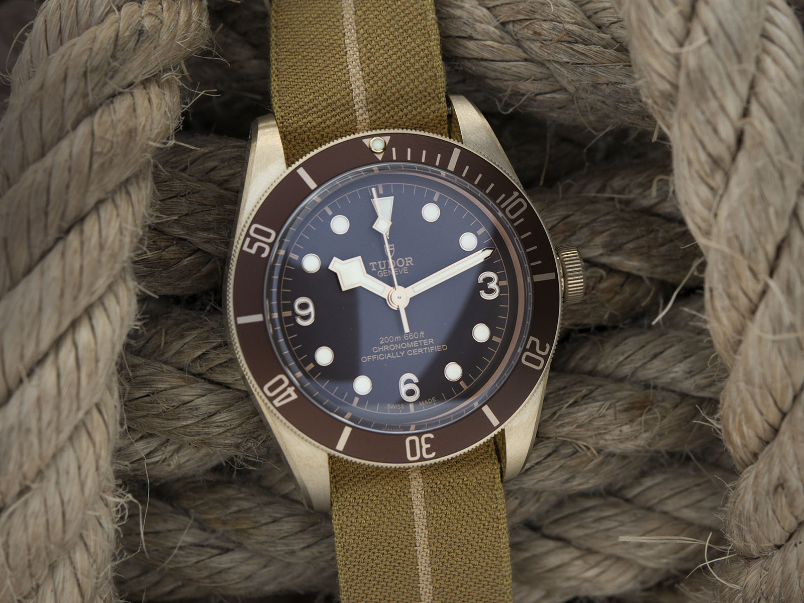 The Tudor Black Bay Bronze - A Golden Era...