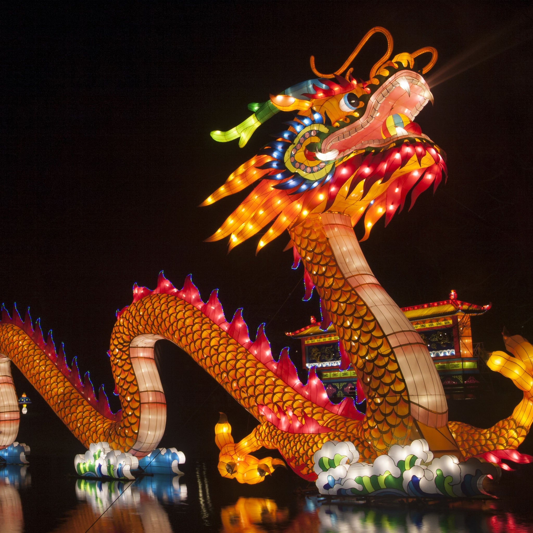 The Dragon Tattoo Leather Watch Strap – Jubilee Edition