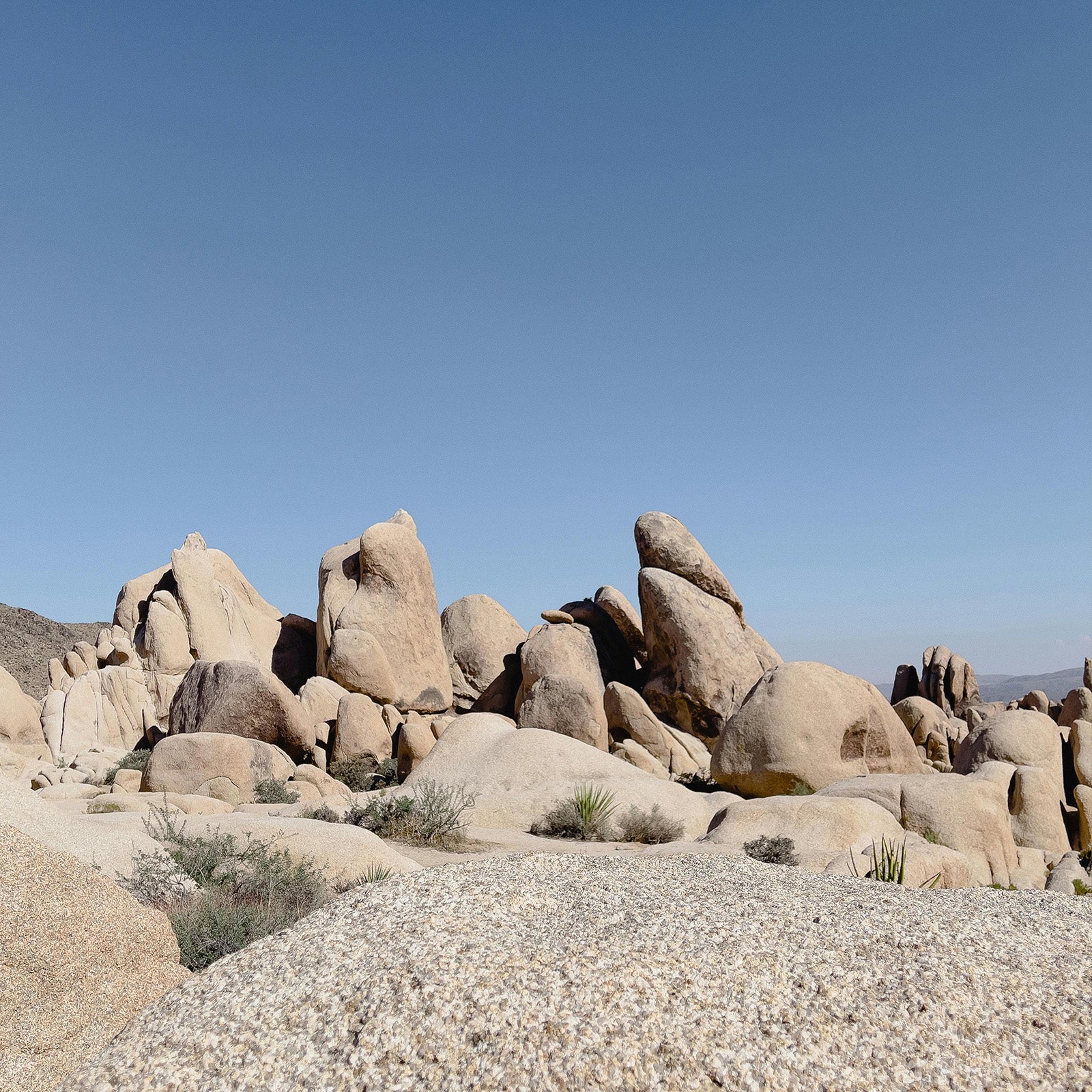 joshua_tree_stone_park